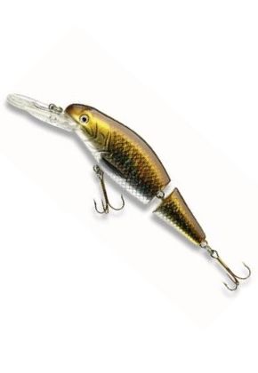 Cormoran ACTIVARO Roach/gold, 9cm