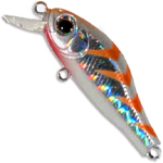 ZipBaits Rigge