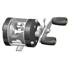 GRFISH 251 251
