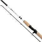 Shimano CASTING SPEED JIGGING H CASTING SPEED JIGGING H
